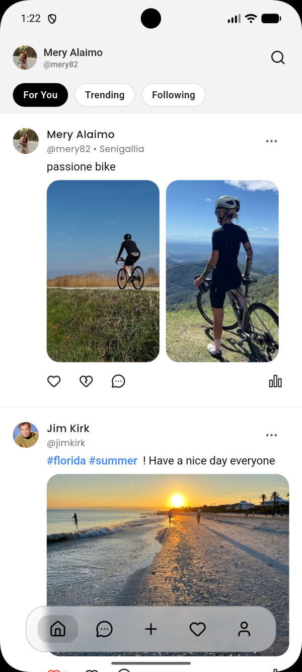 Pingoo App Preview